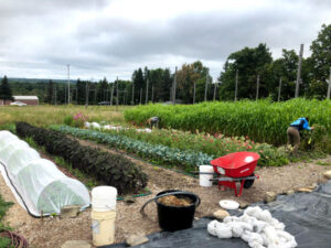 The Hopshire farm in action