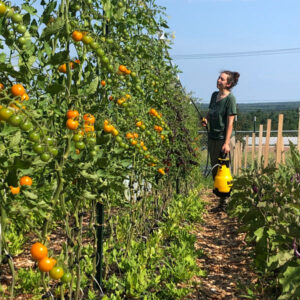 CSA Farm Produce